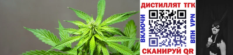 ТГК вейп  ОМГ ОМГ ссылка  Шумерля 